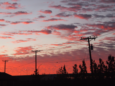 [Power lines and poles and trees are dark stripes in the sea of pink behind them. Above them is a mixture of lue and pink-purple clouds.]